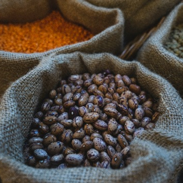 Dals and Pulses